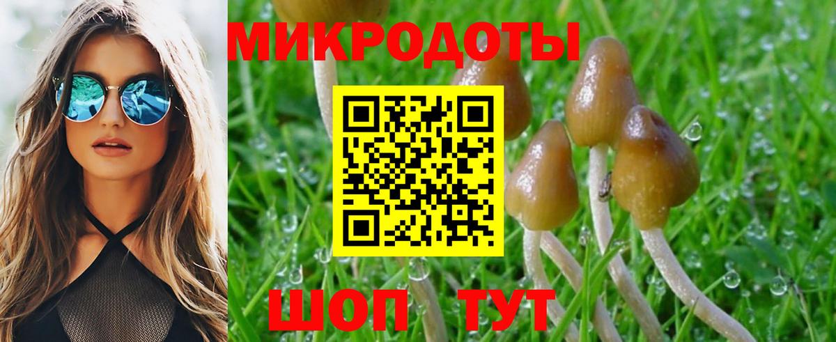 Псилоцибиновые грибы Cubensis  Галлюциногенные грибы мицелий  Вход с VPN  Знаменск 